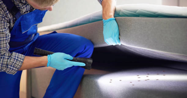 Best Affordable Pest Control Services  in City View, SC