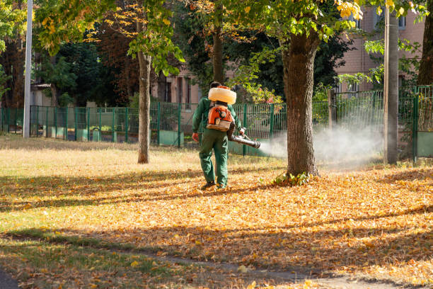 Best Flea Control Services  in City View, SC