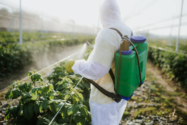 Best Cockroach Control Services  in City View, SC